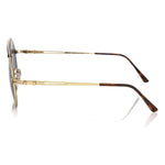 Frankie Morello Brown Metallic Sunglass for Men FR-22126