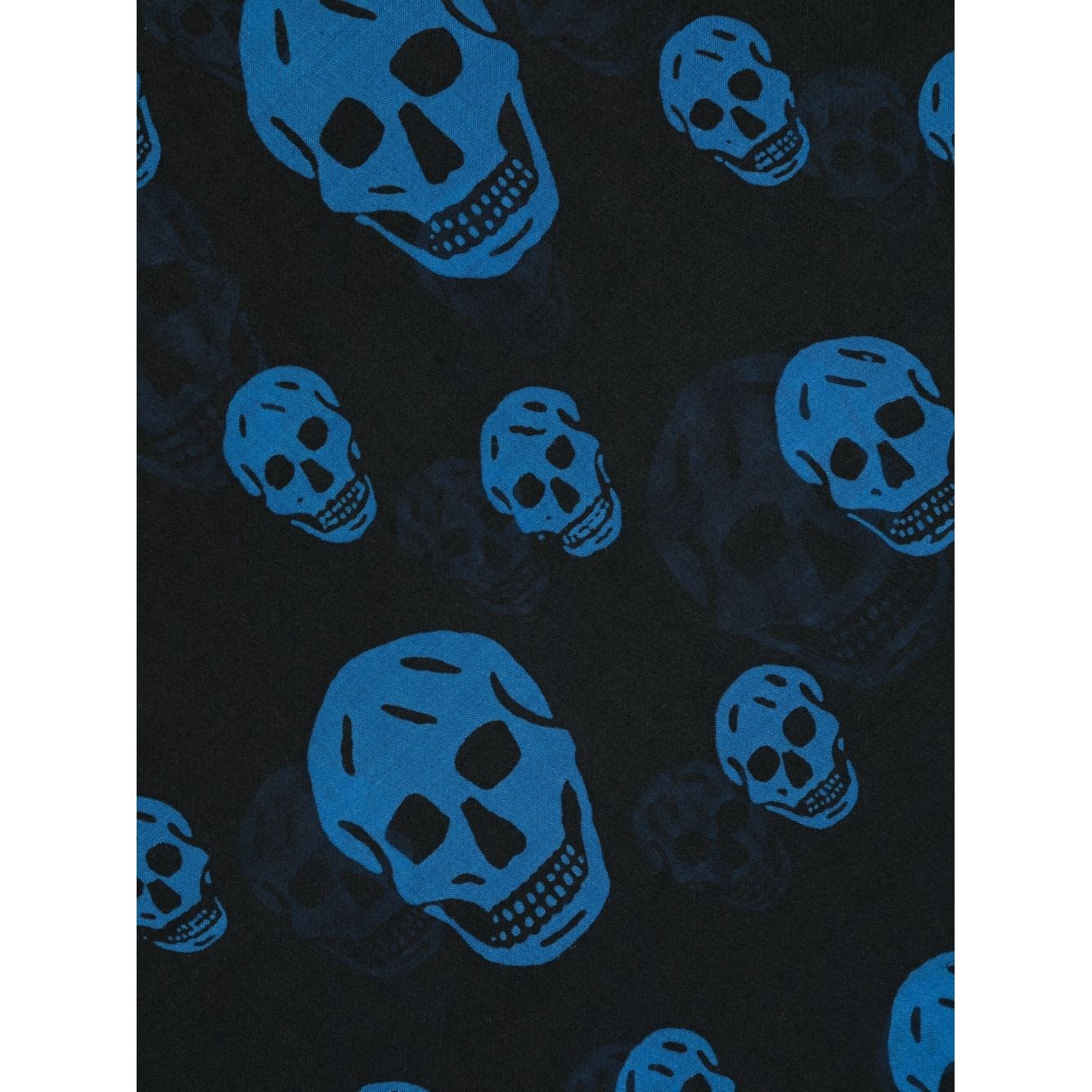 Alexander McQueen Skull silk blend scarf