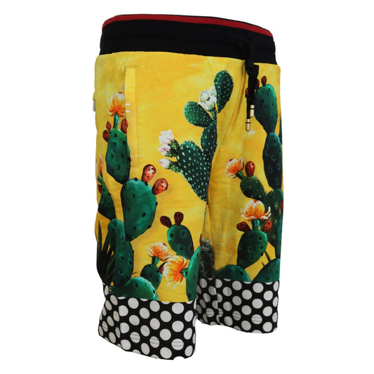 Dolce & Gabbana Multicolor Cactus Print Cotton Sweat Shorts