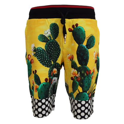 Dolce & Gabbana Multicolor Cactus Print Cotton Sweat Shorts