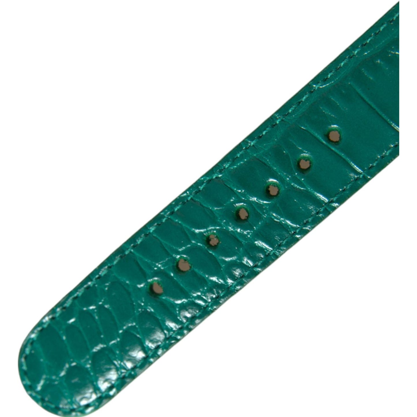 Dolce & Gabbana Green Textured Leather Gold Tone Metal Buckle Neckband