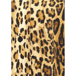 Prada Coat with animal print PR-P632SGSOOO168HF0324-IT42 | L