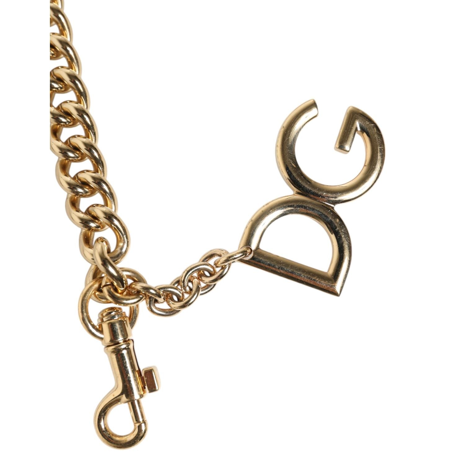 Dolce & Gabbana Brown Leopard Gold Brass Chain Accessory Shoulder Strap