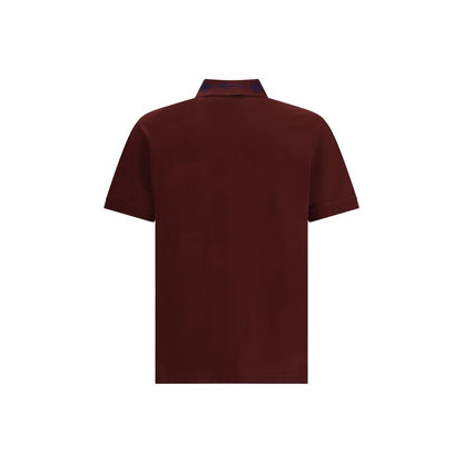 Back view of Alexander McQueen Bordeaux Cotton Polo Shirt with striped collar, modern design, and McQueen logo, made in Italy.