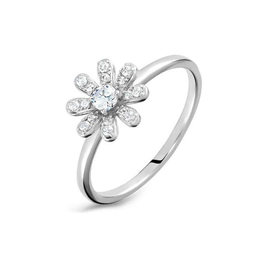 STROILI Mod. 1669801